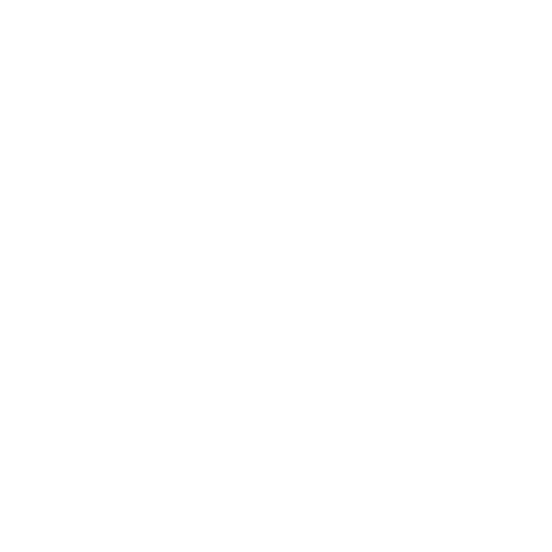PneuPro Logo